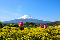 一つ一つの重要性と内容が良く理解できました。