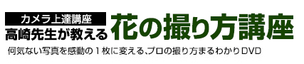 わずか３ステップで写真が上手くなる!!一眼レフカメラ上達講座～何気ない写真を感動の１枚に変える、プロの撮り方まるわかりDVD ～