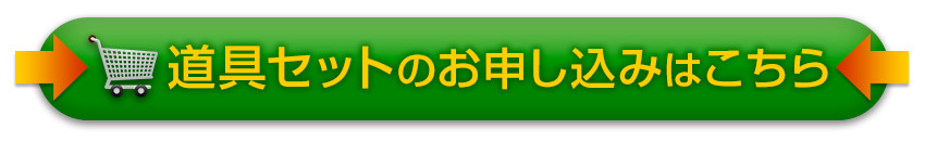 お買い物かごに入れる