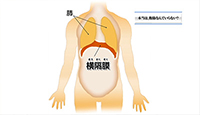 レッスン２　本当は、腹筋なんていらない？