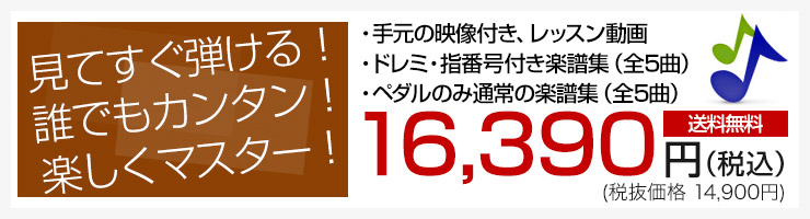 見てすぐ弾ける！誰でもカンタン！楽しくマスター！